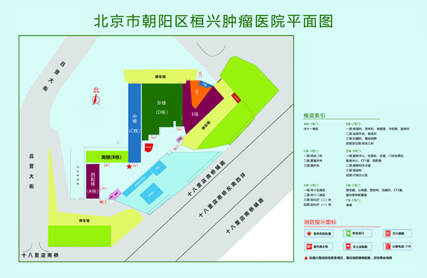 男生将鸡鸡插进女生的逼里北京市朝阳区桓兴肿瘤医院平面图